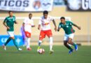 Bragantino é derrotado pelo Palmeiras e se despede do Brasileirão Sub-20