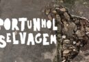 Cinco atrações do Festival Arte Serrinha que merecem entrar na sua agenda