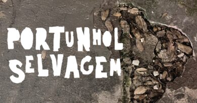 Cinco atrações do Festival Arte Serrinha que merecem entrar na sua agenda