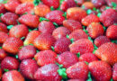 42ª Festa do Morango de Atibaia e Jarinu reúne a fruta mais desejada do inverno em dezenas de sabores