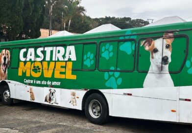 Mutirão de Castração tem 600 vagas disponíveis em Atibaia e segue com inscrições abertas