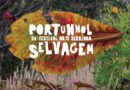 Pertinho de Atibaia, Festival Arte Serrinha oferece cinema, música e experiências em meio à Mata Atlântica