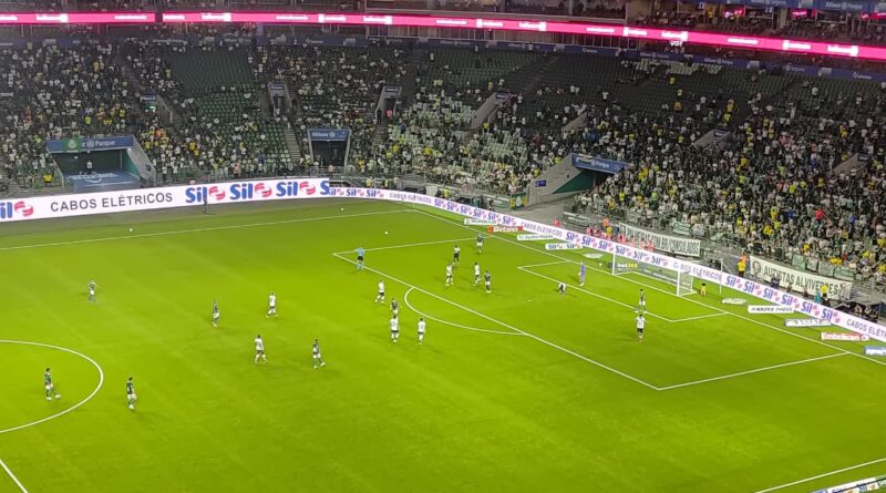 Palmeiras vence o Botafogo pelo Brasileirão