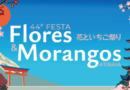 44ª Festa de Flores e Morangos de Atibaia tem início nesta sexta-feira