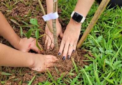 Fórum de Atibaia recebe plantio de árvores nativas em ação de educação ambiental