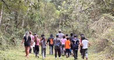 Alunos do 4º ano da Rede Municipal de Atibaia participam de projeto de educação ambiental