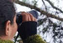 Alunos da rede municipal participam de atividade de observação de aves na Semana do Meio Ambiente
