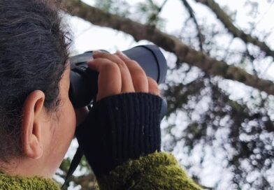 Alunos da rede municipal participam de atividade de observação de aves na Semana do Meio Ambiente