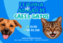 Defesa Animal promove 21ª Feirinha de Adoção 2026 no próximo dia 21