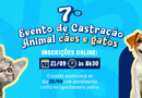 Prefeitura de Atibaia abre inscrições para mutirão de castração de cães e gatos no dia 21 de setembro