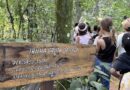 Semana do Meio Ambiente une ciência e natureza em atividades especiais para alunos da rede municipal