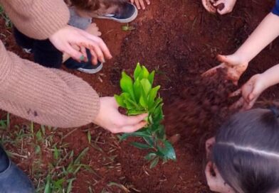 Programação especial marca Semana da Árvore com plantios e ações ambientais em Atibaia