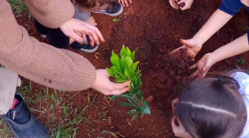 Programação especial marca Semana da Árvore com plantios e ações ambientais em Atibaia