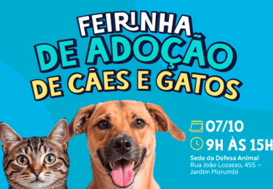 Defesa Animal promove 20ª Feirinha de Adoção 2026 no próximo dia 7